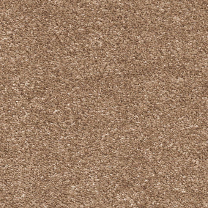 SPRING VALLEY｜Premium Luxury BroadwayMidtown（ブロードウェイミッドタウン）200cm×250cm